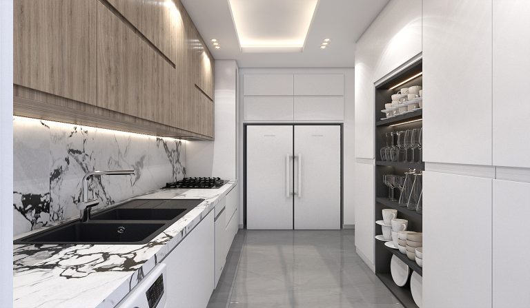 Interior design of the hall and kitchen for Mr. Barzegar's project